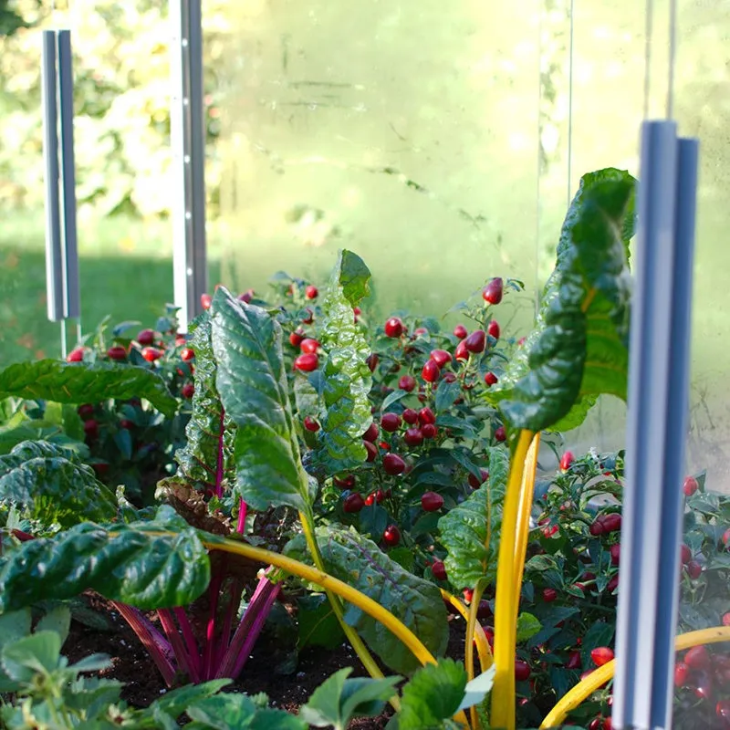 World Botanics 4ft koude bak glas aluminium