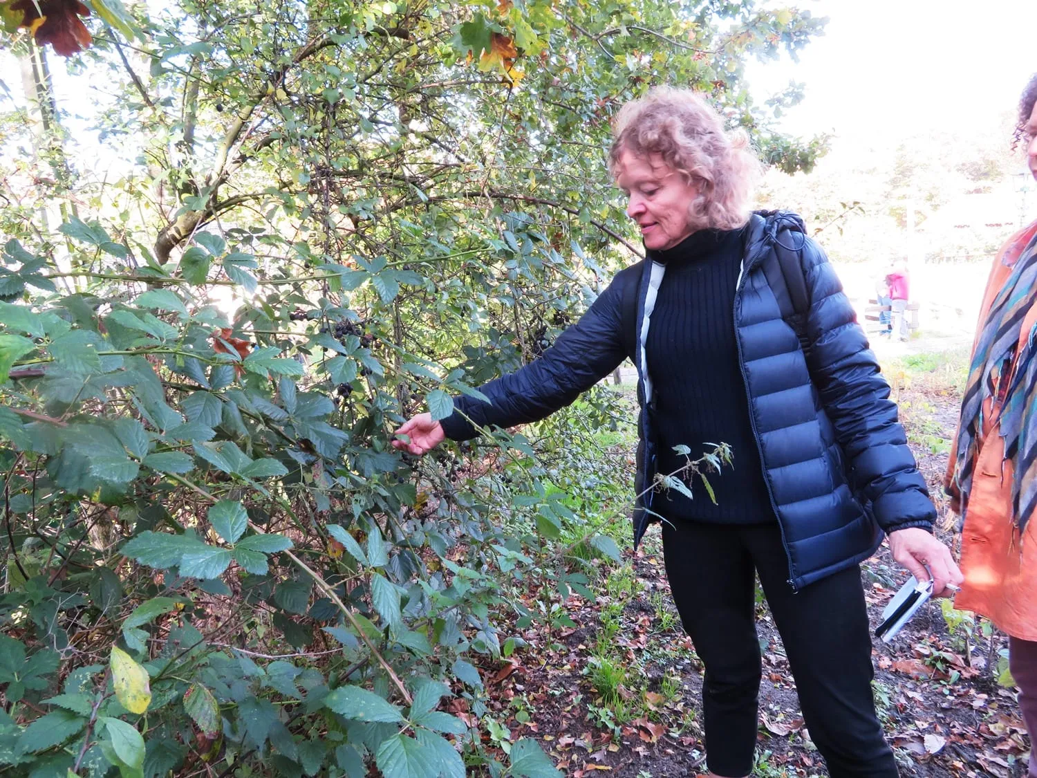 De Tuinen van MergenMetz wildplukwandeling cadeaubon Elsje Bruijnesteijn
