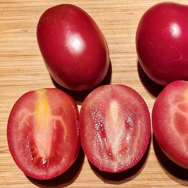 De Tuinen van MergenMetz De Barao tomatenzaden 15 stuks robuust