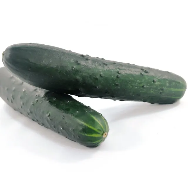 De Tuinen van MergenMetz Komkommer Marketmore zaden 10 stuks