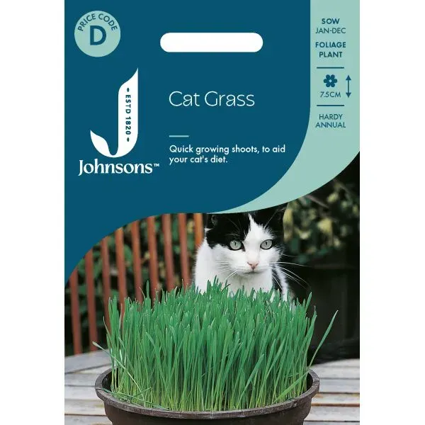 World Botanics Avena Sativa kattengras zaden haver