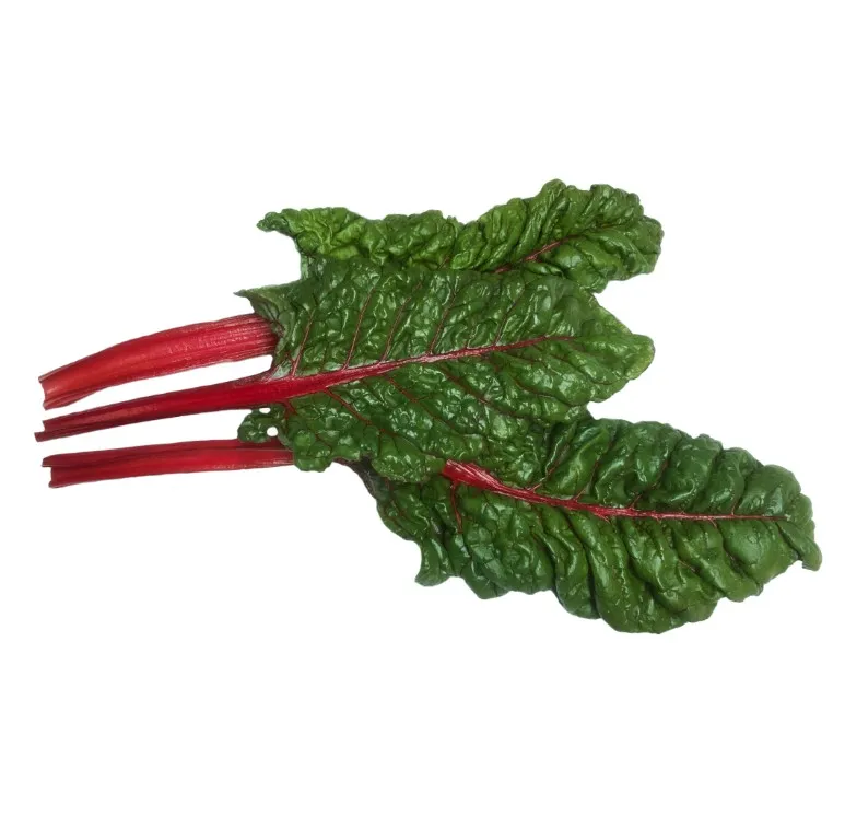 Vitale Rassen Rhubarb Chard snijbiet zaden rood