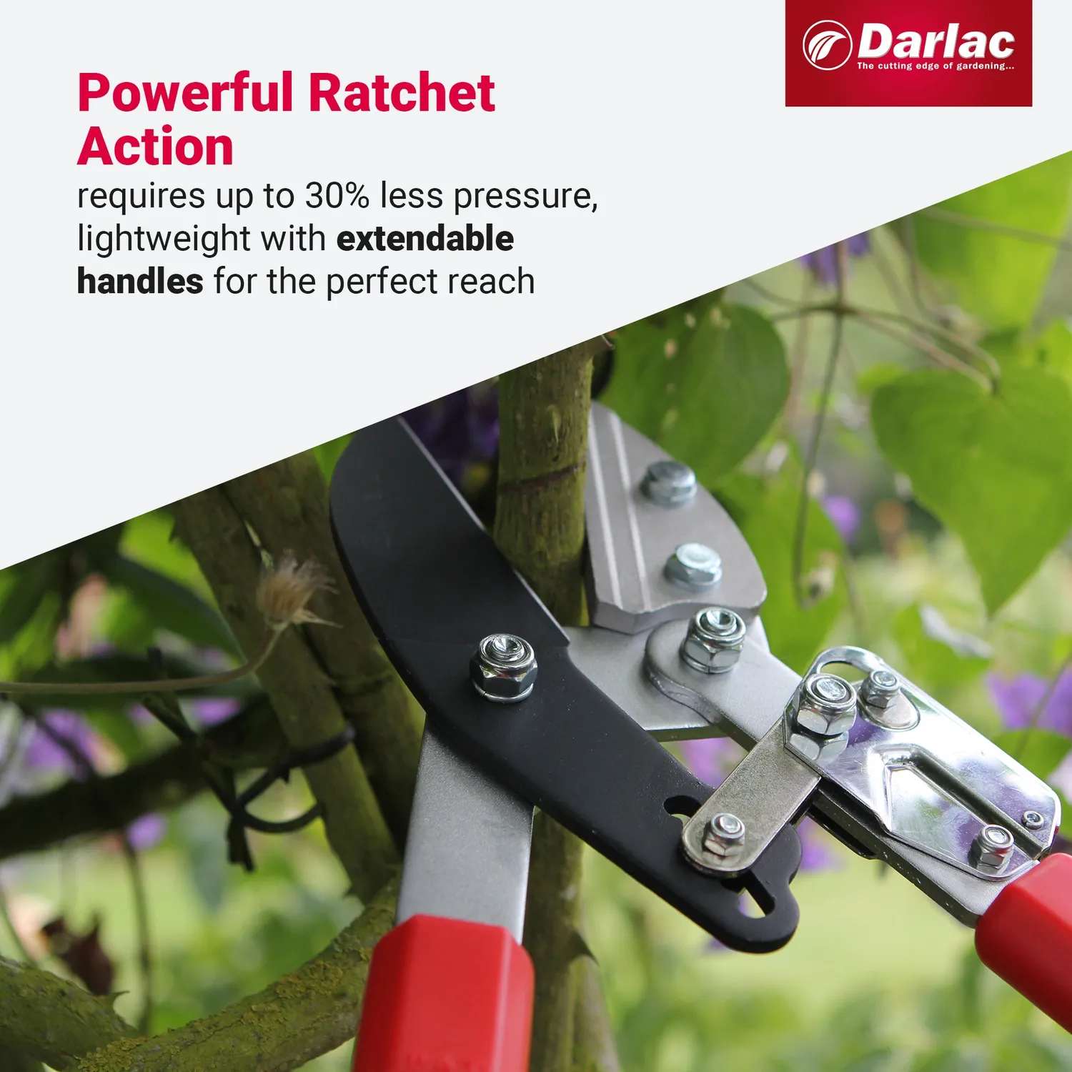 Darlac Telescopic Ratchet takkenschaar 50 mm uitschuifbaar