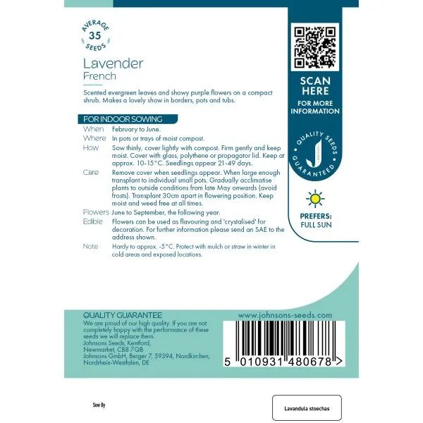 World Botanics Lavender French lavendelzaden paars