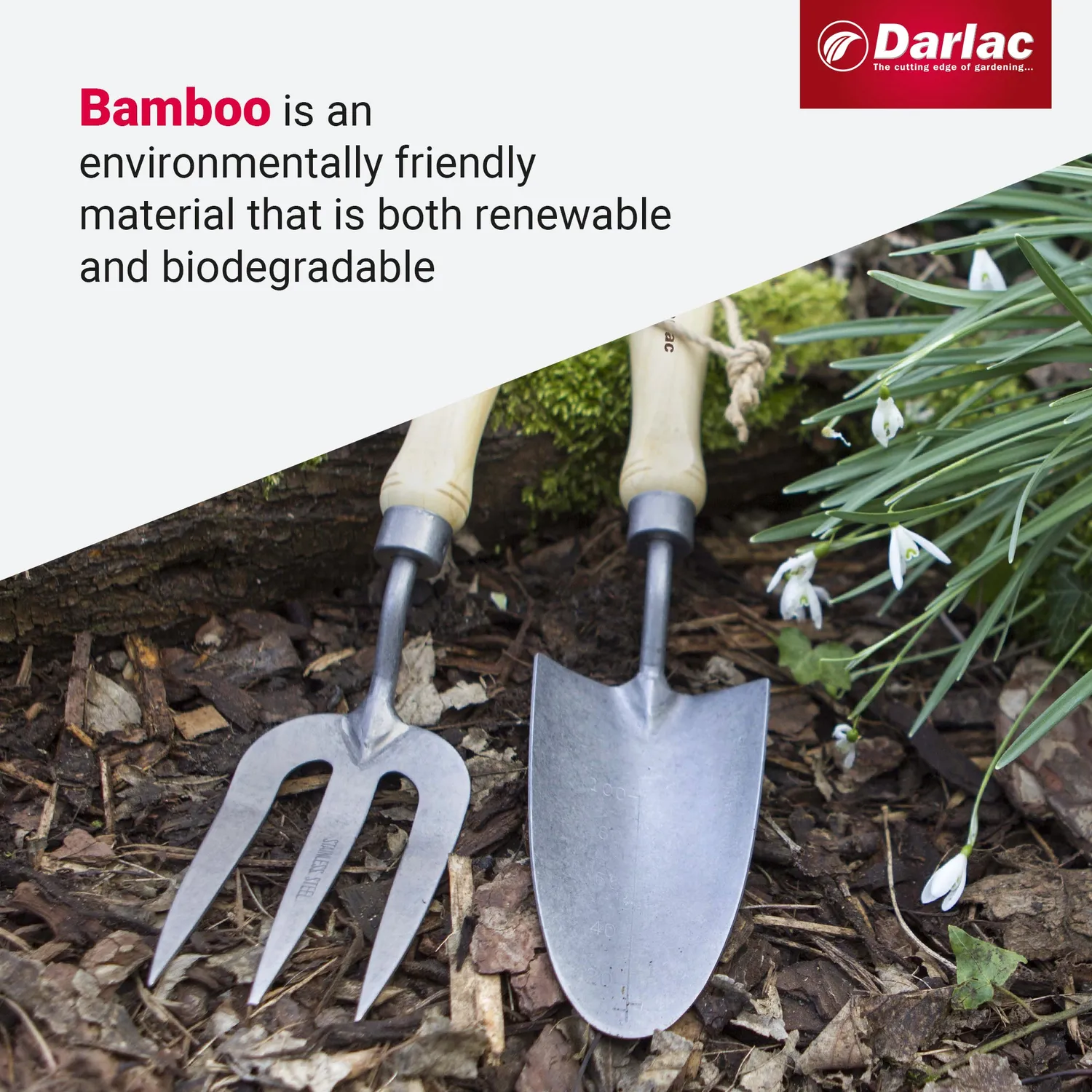 Darlac Bamboo plantschep rvs 33 cm bamboe handvat