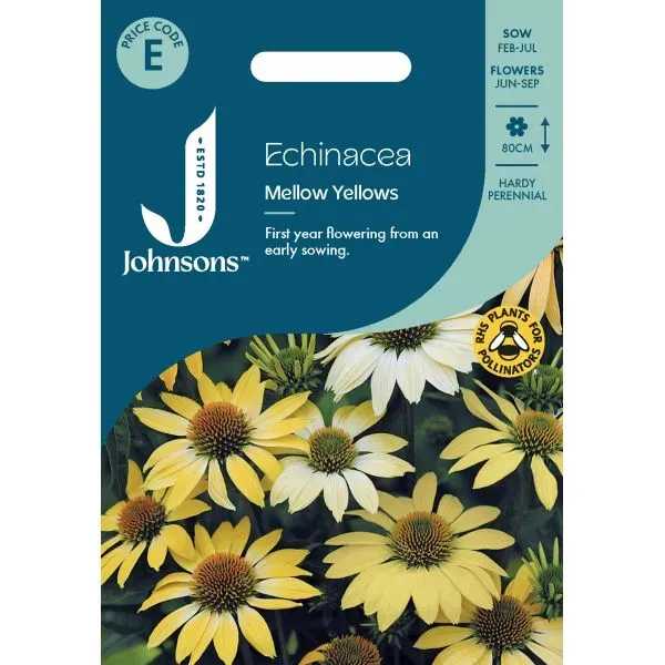 World Botanics Mellow Yellows echinacea zaden geel 80cm