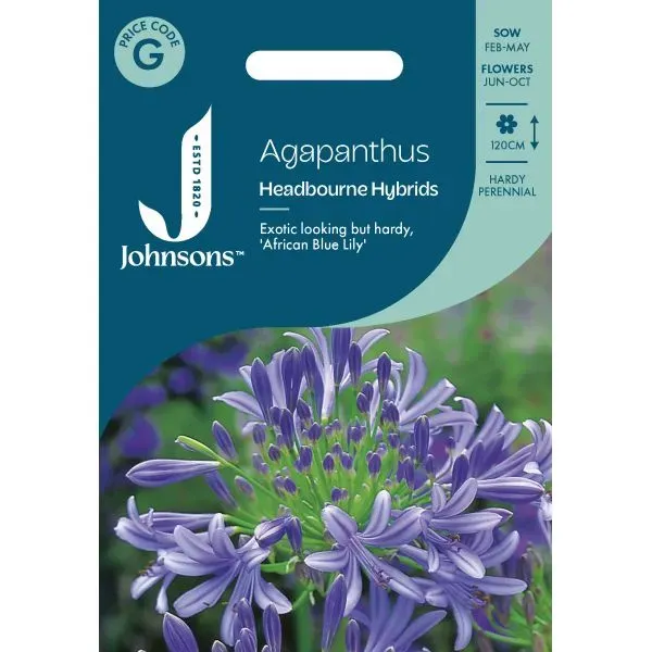 World Botanics Headbourne Hybrid agapanthus zaden winterhard