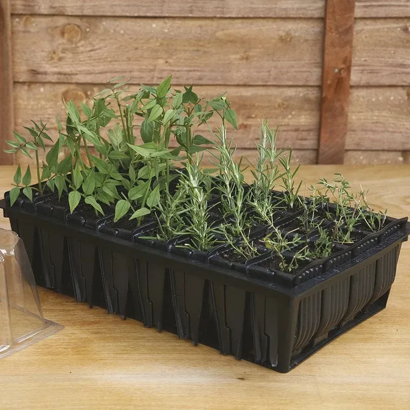 World Botanics Rootrainers Rapid stektray 32 cellen herbruikbaar