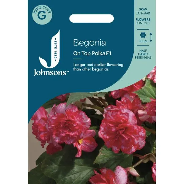 World Botanics Begonia On Top Polka Dot F1 zaden schaduw