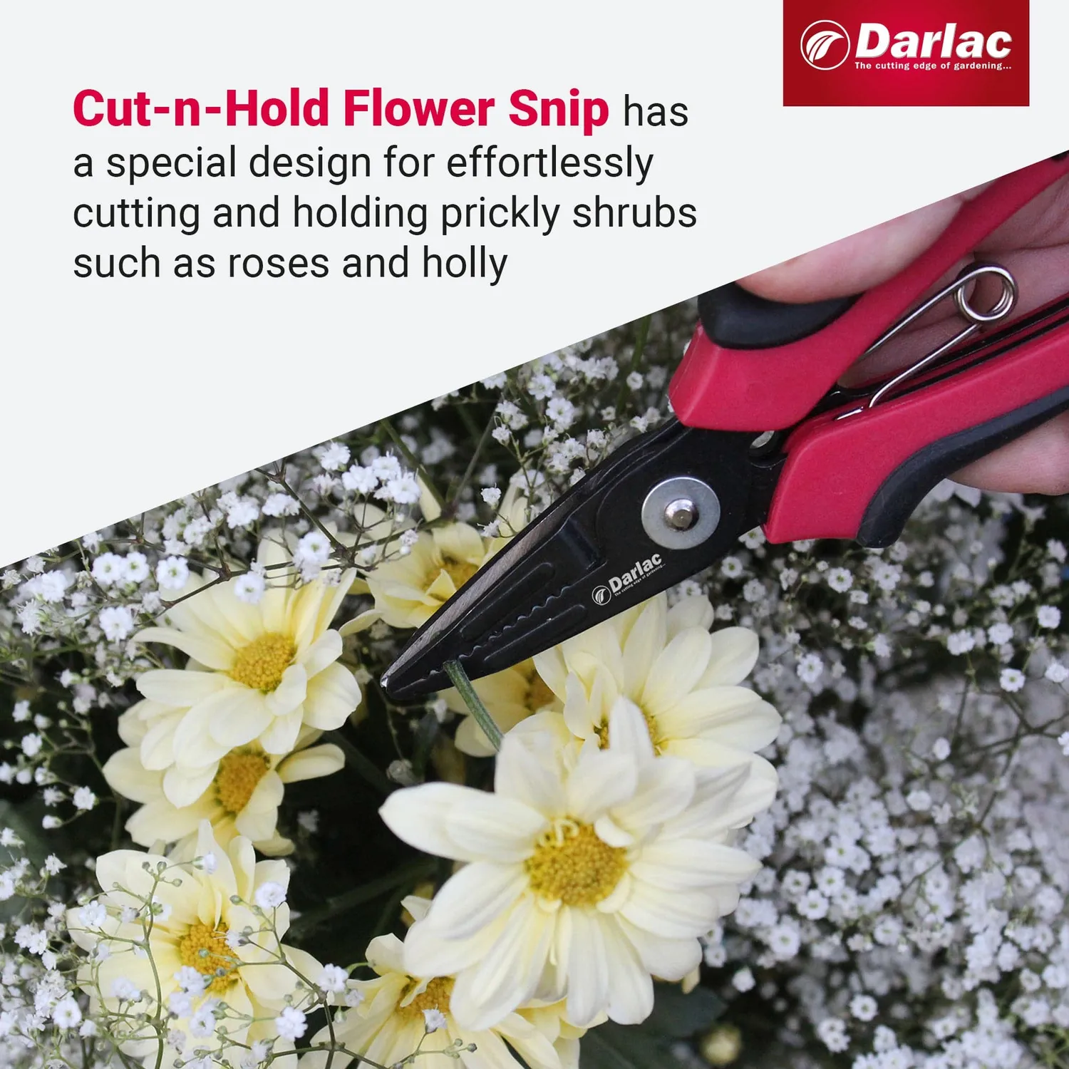 Darlac Cut-n-Hold bloemenschaar met houder voor rozen