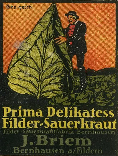 De Tuinen van MergenMetz Kool Filderkraut zaden 40 spitskool