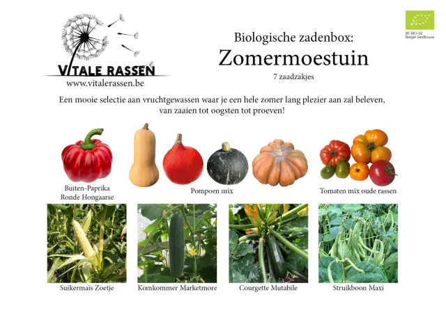 Vitale Rassen Zomermoestuin zadenbox complete set zomerteelt