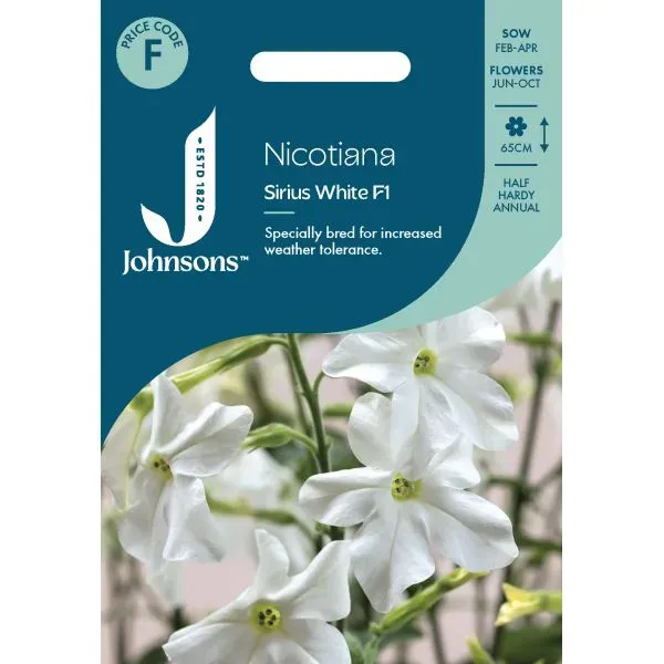 World Botanics Nicotiana Sirius White F1 bloemzaden wit geurend