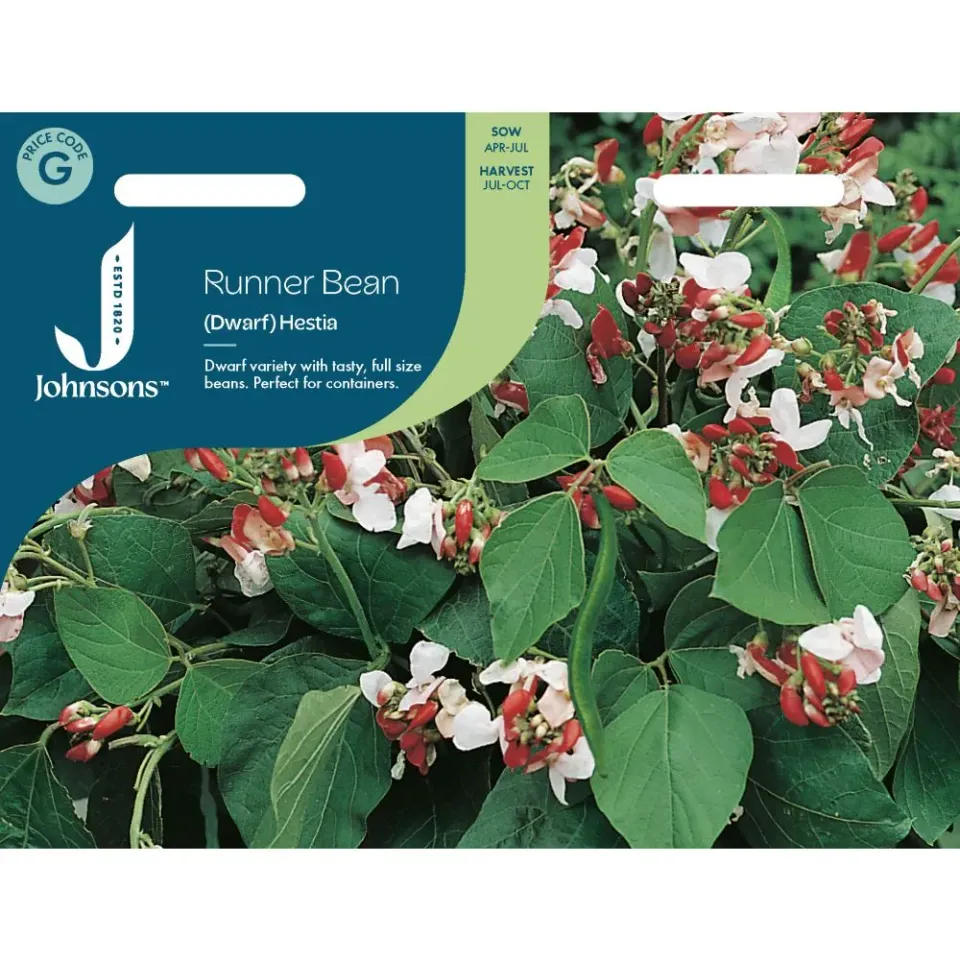 World Botanics Hestia dwerg pronkboon zaden onbespoten