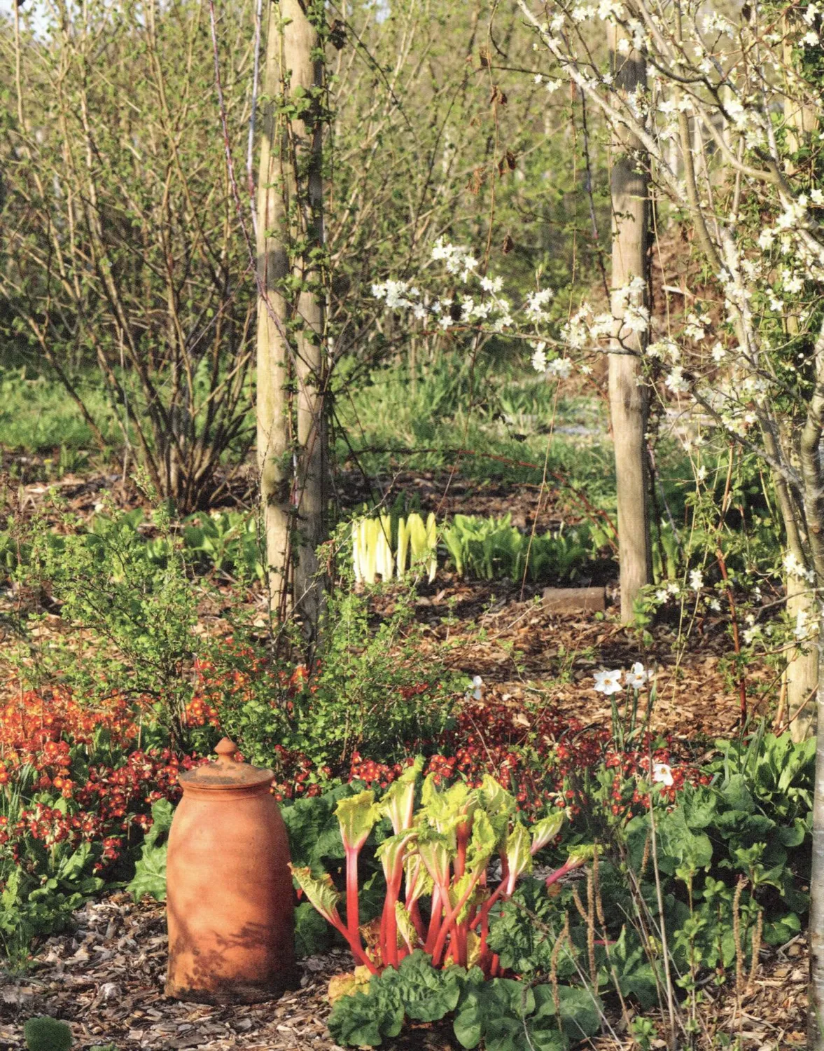 De Tuinen van MergenMetz Vera’s Moestuin boek beginners 1 stuk