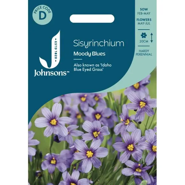 World Botanics Moody Blues sisyrinchium zaden blauwpaars