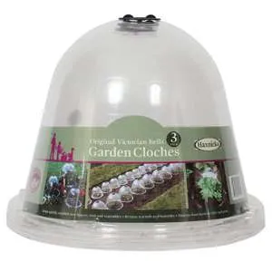 World Botanics Victorian Bell kweekklokken 3 stuks 34 cm