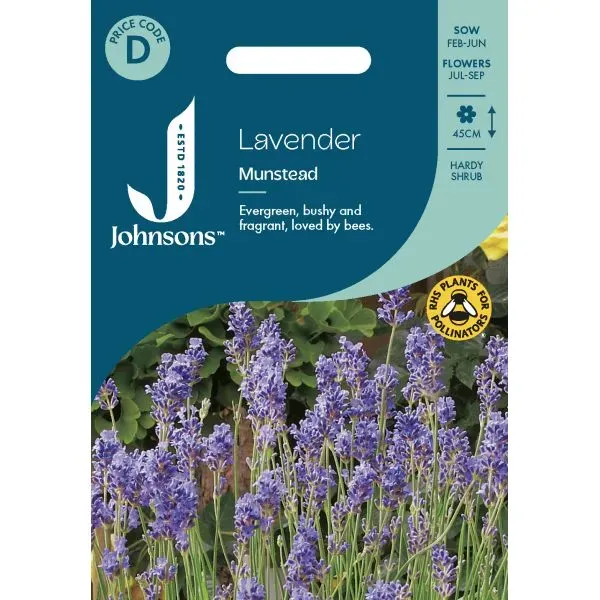 World Botanics Lavender Munstead zaden paars