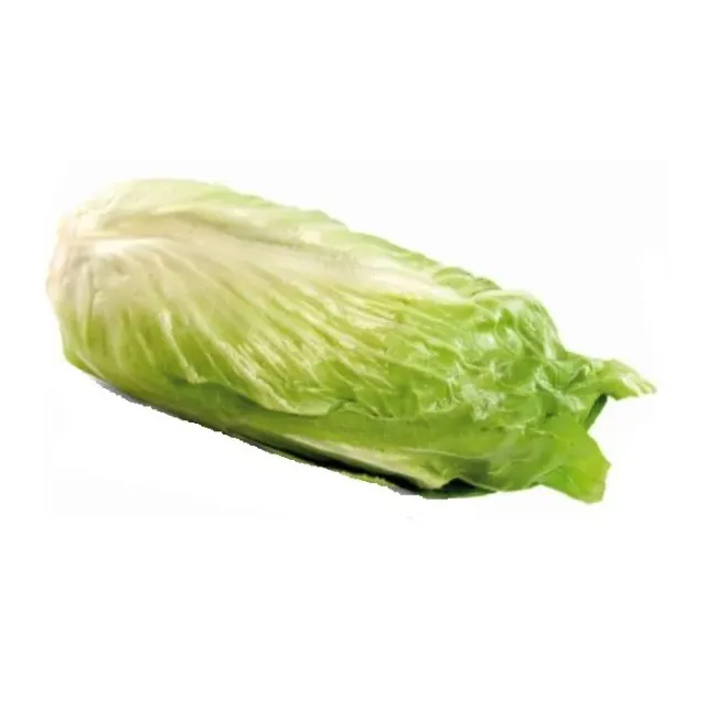 De Tuinen van MergenMetz Groenlof suikerijzaad 2 gram bitter