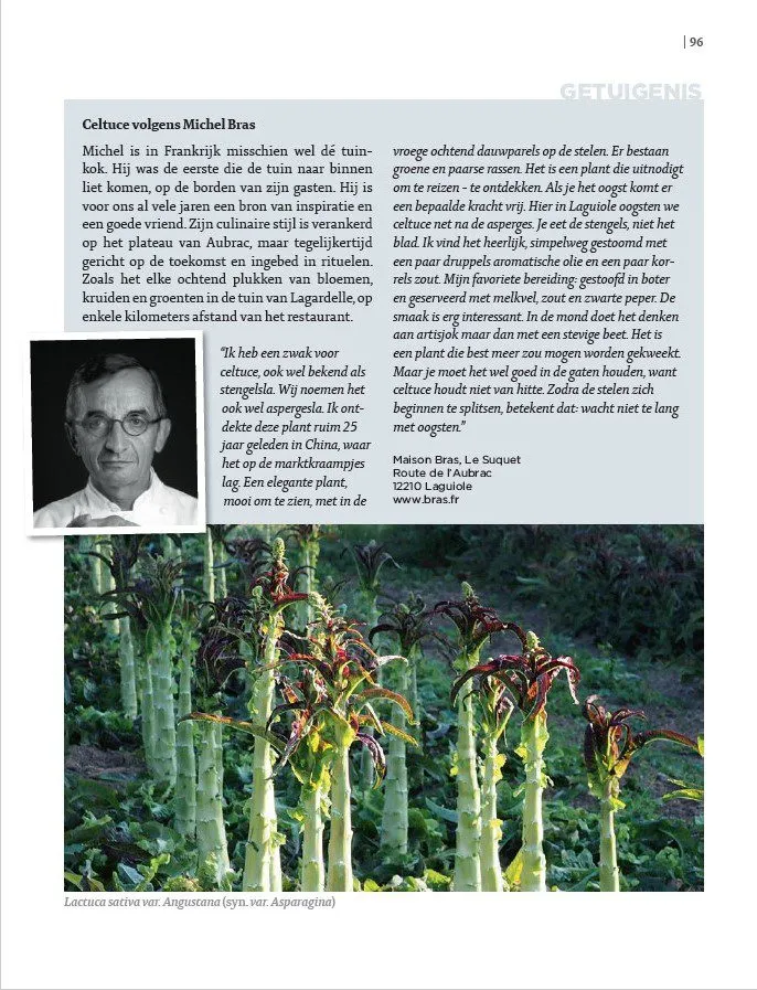 De Tuinen van MergenMetz De Eetbare Siertuin boek eetbare planten
