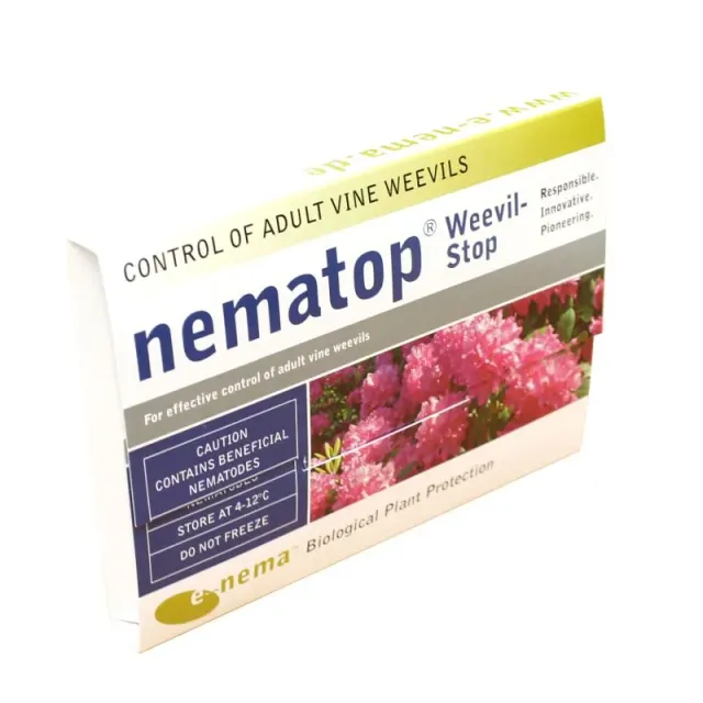 World Botanics Nematop Taxuskever Val 10 m2 aaltjes