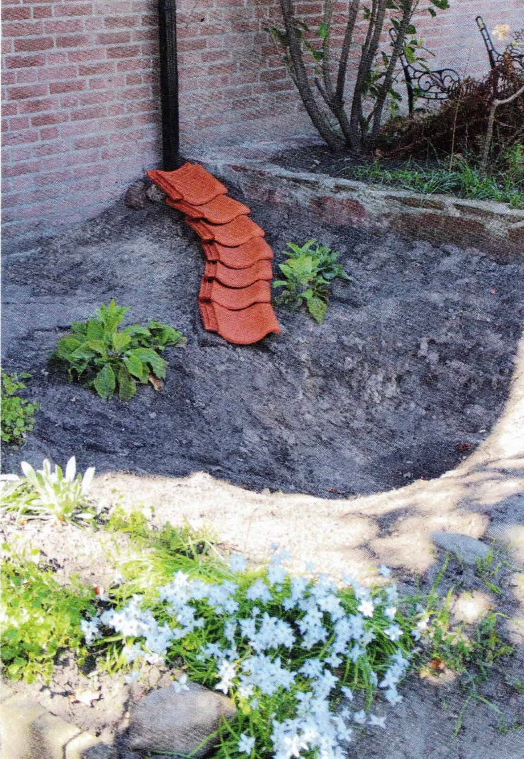 De Tuinen van MergenMetz Klimaatslim tuinieren boek Moniek de Bakker