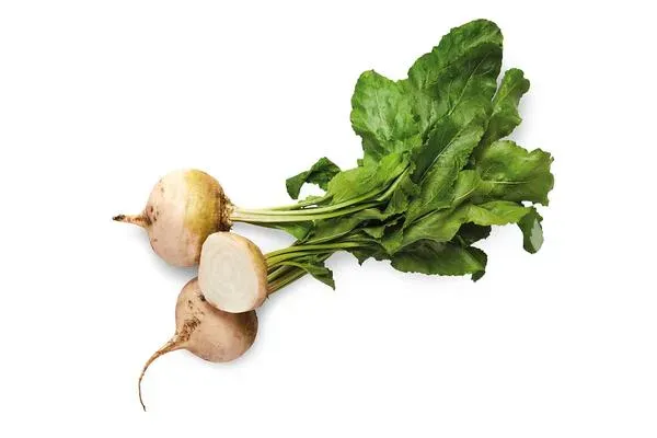 De Tuinen van MergenMetz Sneeuwwitje witte bietenzaden 3 gram aromatisch
