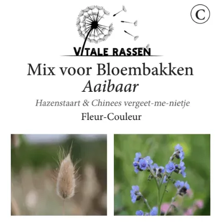 Vitale Rassen Bloemenmix voor Bloembakken Aaibaar zaden