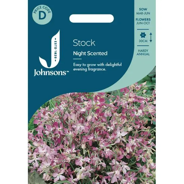 World Botanics Night Scented Stock bloemzaden avondgeur