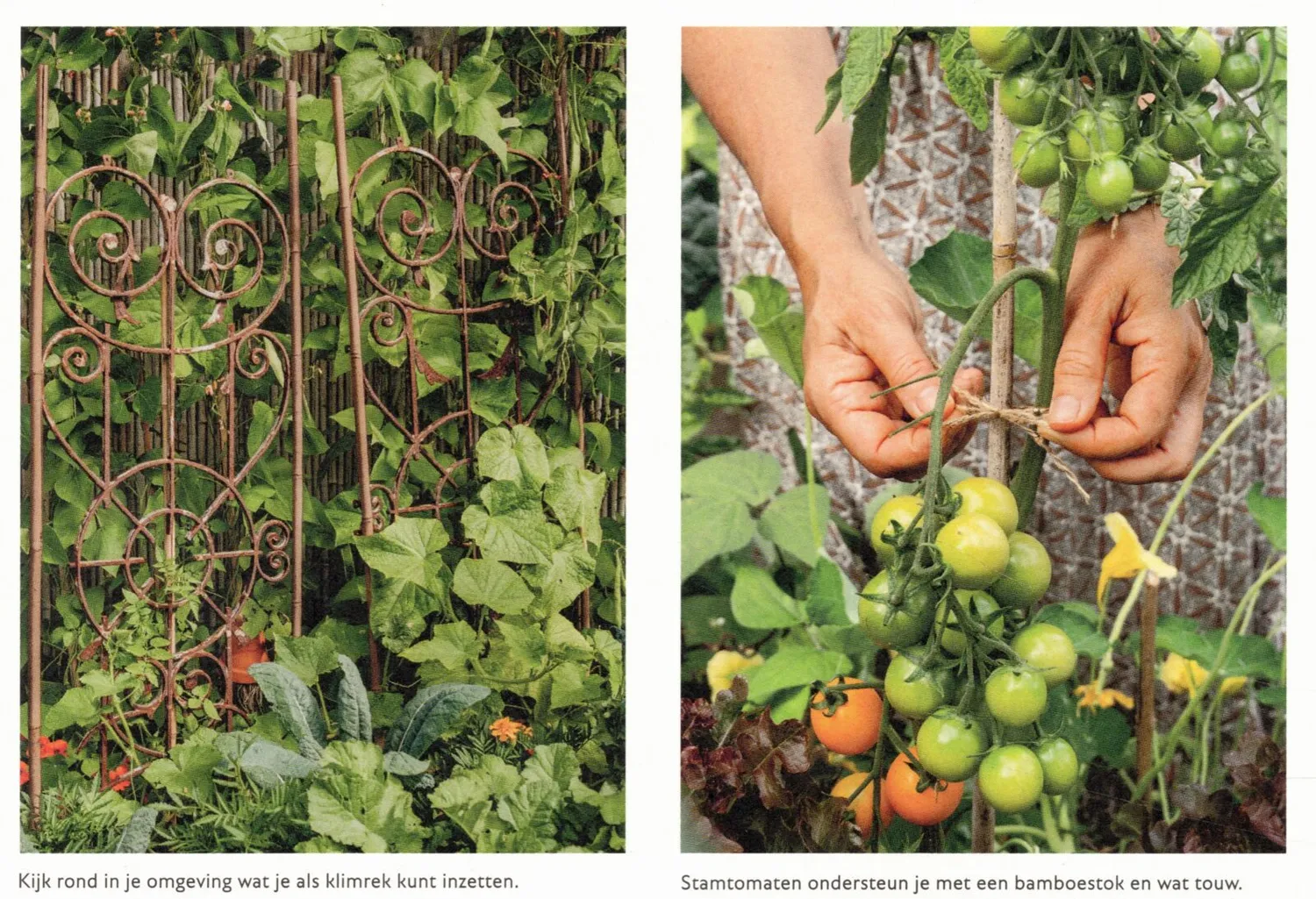 Jessica Koomen Thuis in de moestuin boek natuurlijk tuinieren