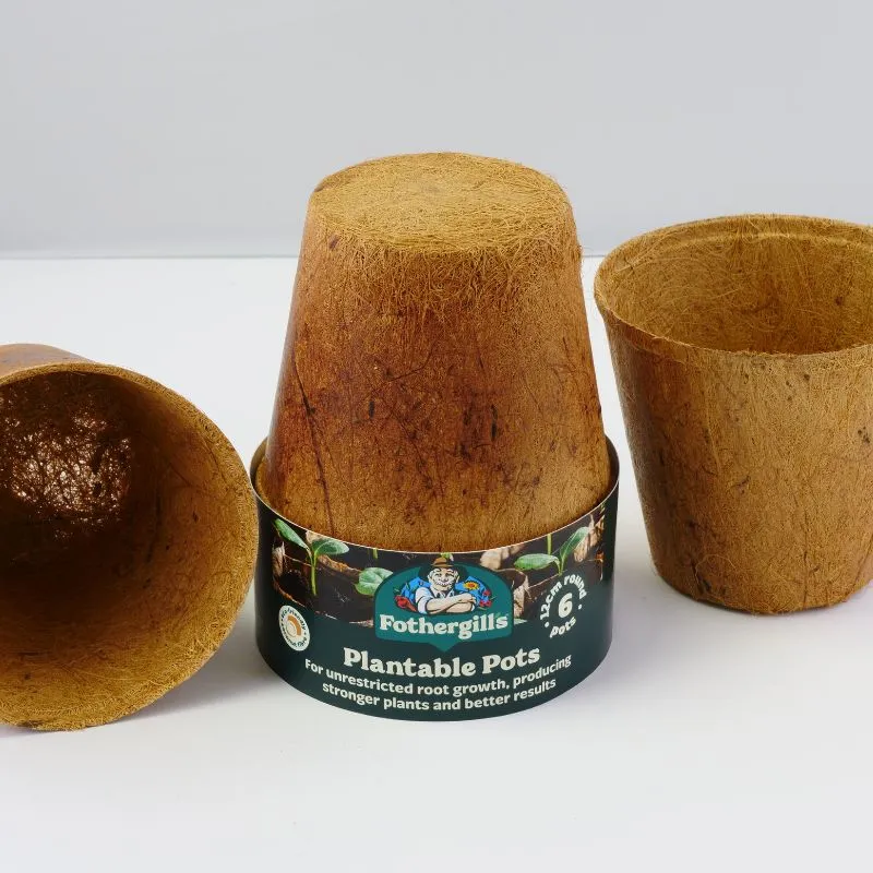 World Botanics kweekpotjes kokosvezel 12 x 6cm