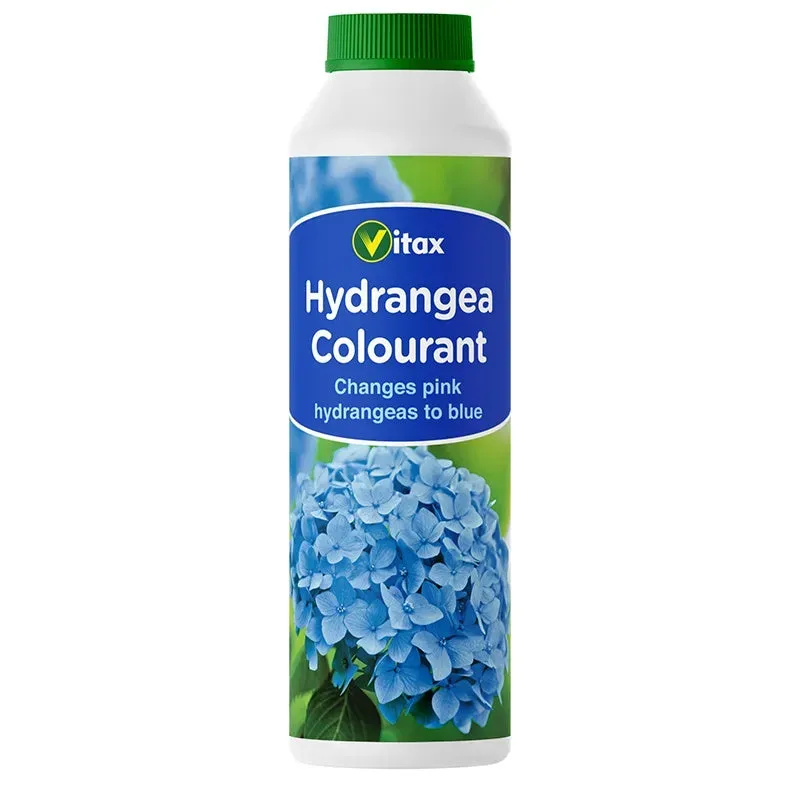 World Botanics Hortensia bloemenkleurstof blauw
