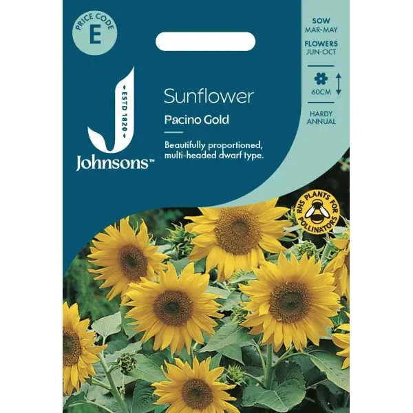 World Botanics Zonnebloem Pacino Gold zaden geel compact