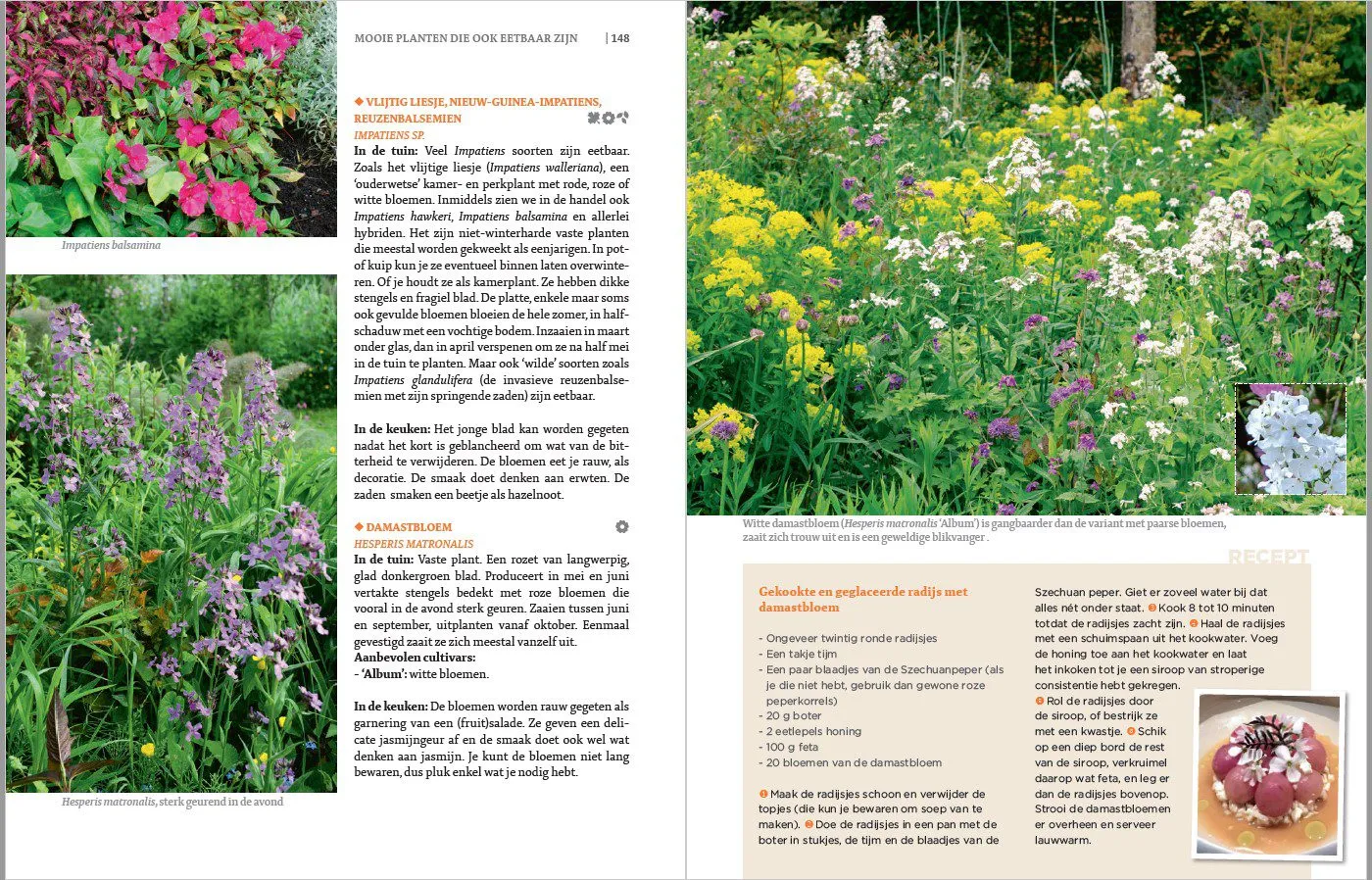 De Tuinen van MergenMetz De Eetbare Siertuin boek eetbare planten
