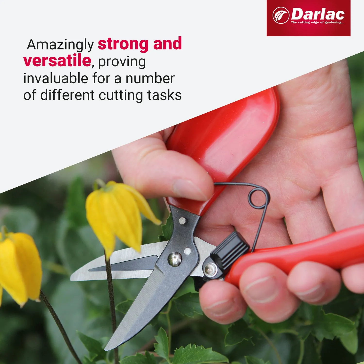 World Botanics Darlac Floral Shear bloemenschaar 5 mm