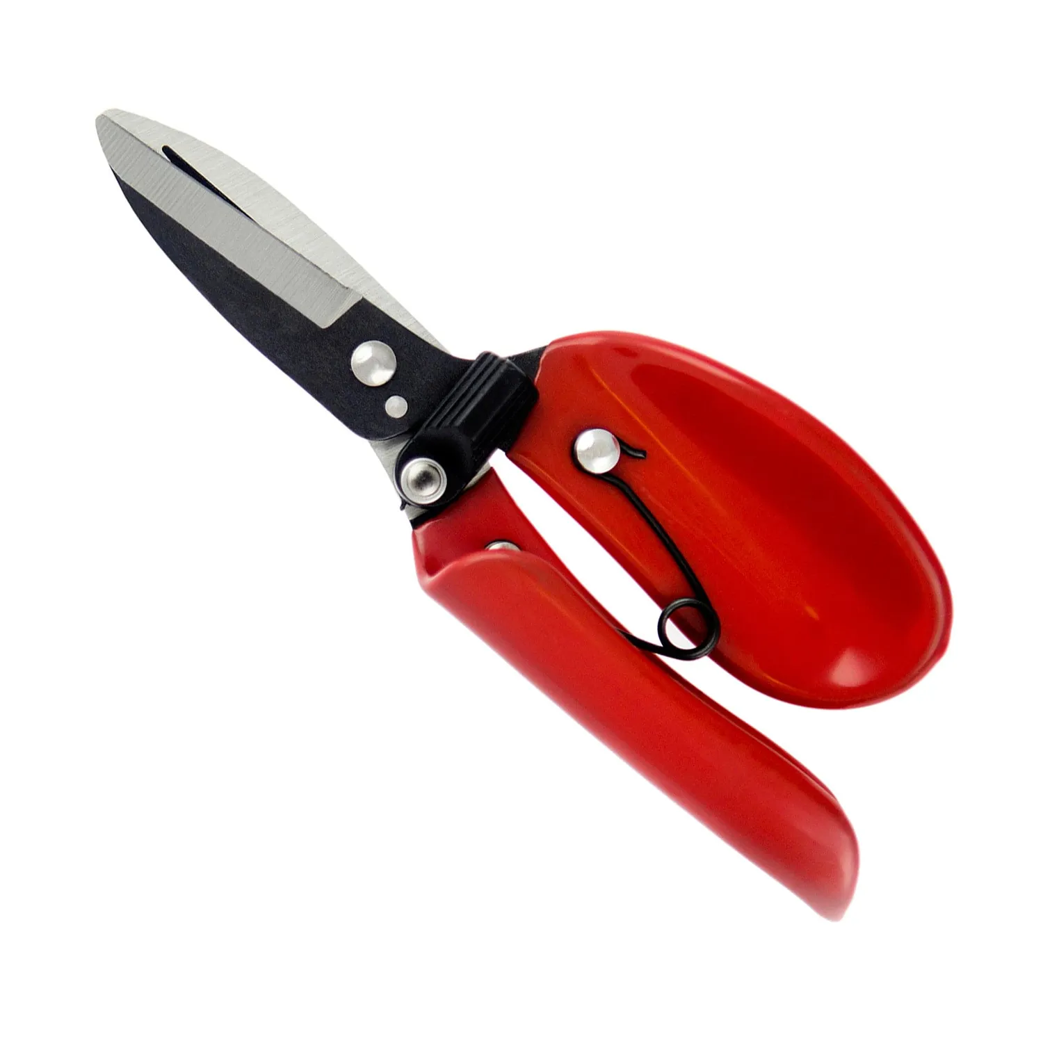 World Botanics Darlac Floral Shear bloemenschaar 5 mm