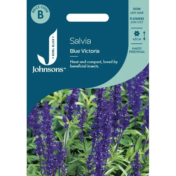 World Botanics Salvia Blue Victoria bloemzaden blauw vast
