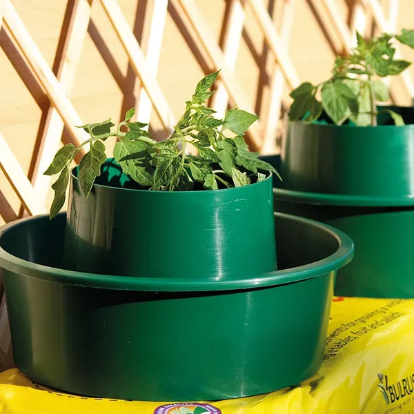 World Botanics Growpot Tomato kweekpotten 3 stuks