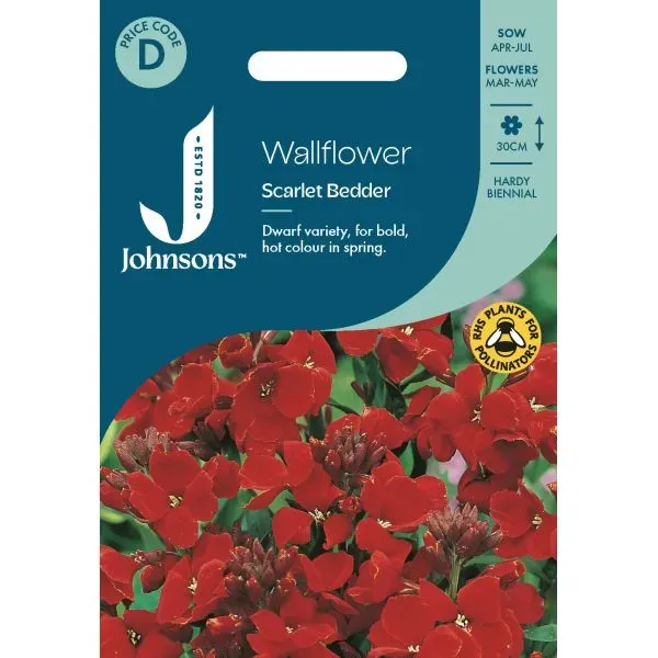 World Botanics Wallflower Scarlet Bedder muurbloem zaden rood