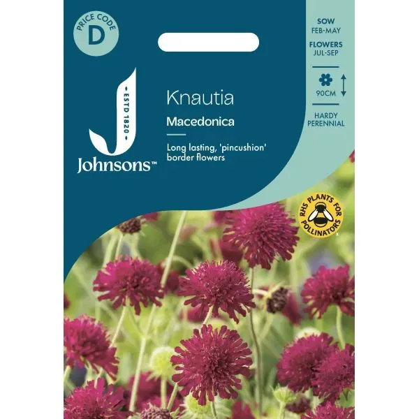 World Botanics Macedonica knautia zaden rood 90 cm