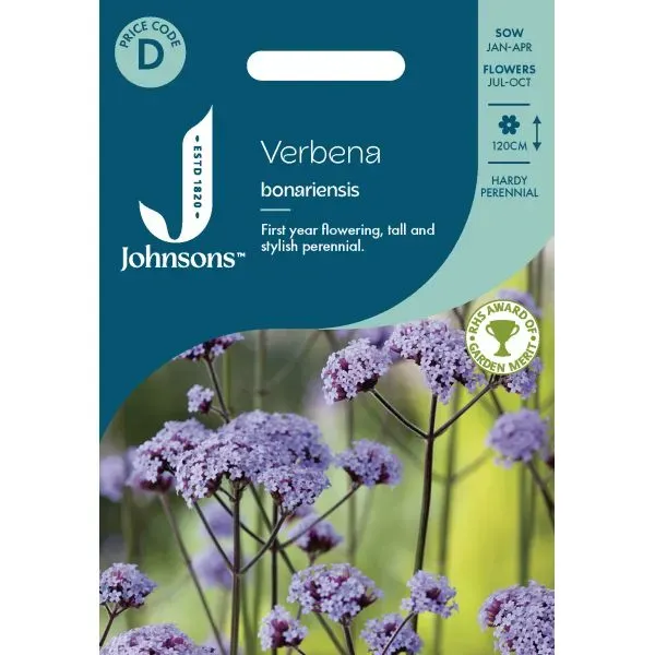Johnsons Verbena Bonariensis bloemzaden paars