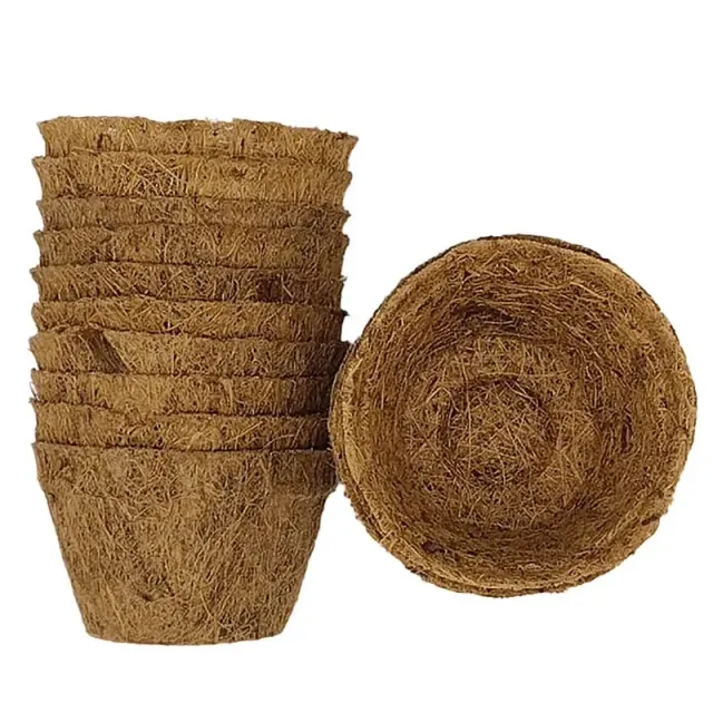 World Botanics Kokospotten 20 x 13 cm afbreekbaar