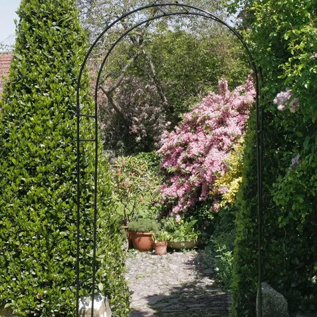 World Botanics Steel Round klimboog staal 120x247 cm roestvast