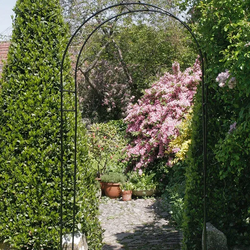 World Botanics Steel Round klimboog staal 120x247 cm roestvast