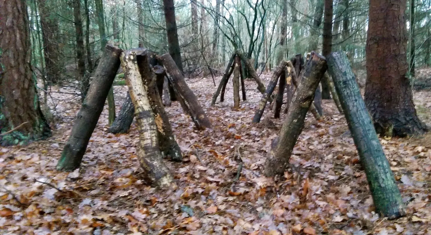 De Tuinen van MergenMetz Van Stam tot Zwam workshop paddenstoelen 10 oktober