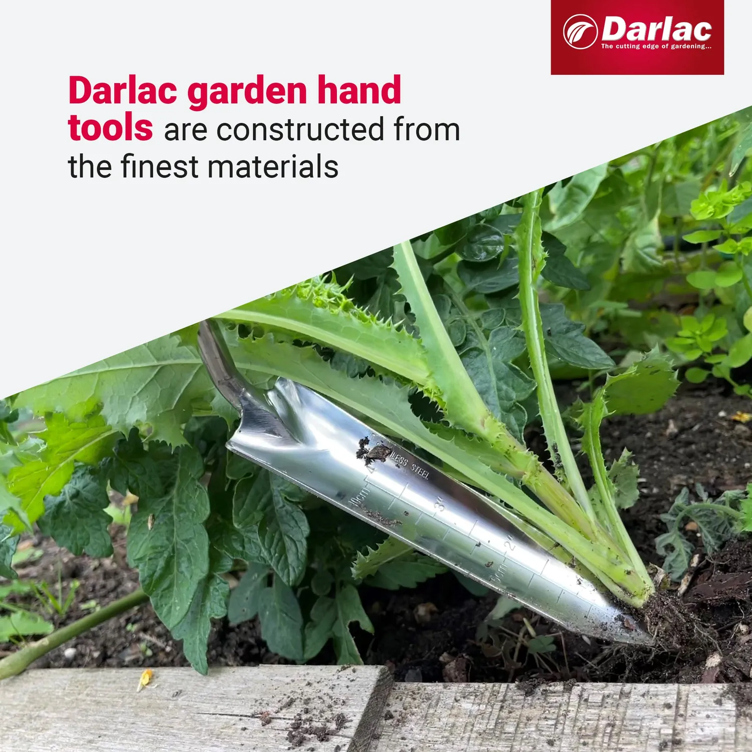 Darlac Rockery plantschepje rvs smal met dieptemarkering
