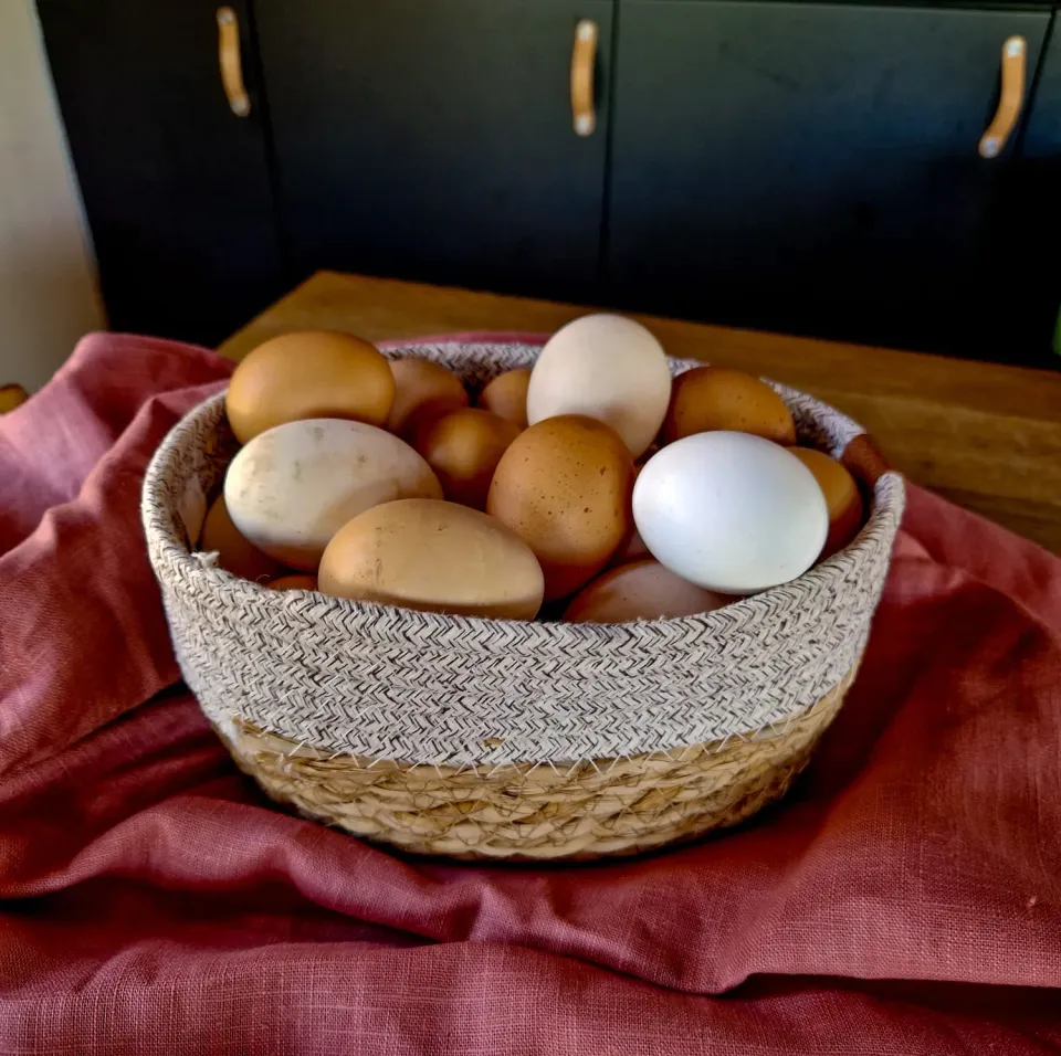 Natuur en Puur eiermandje tweedehands landelijk voor keuken