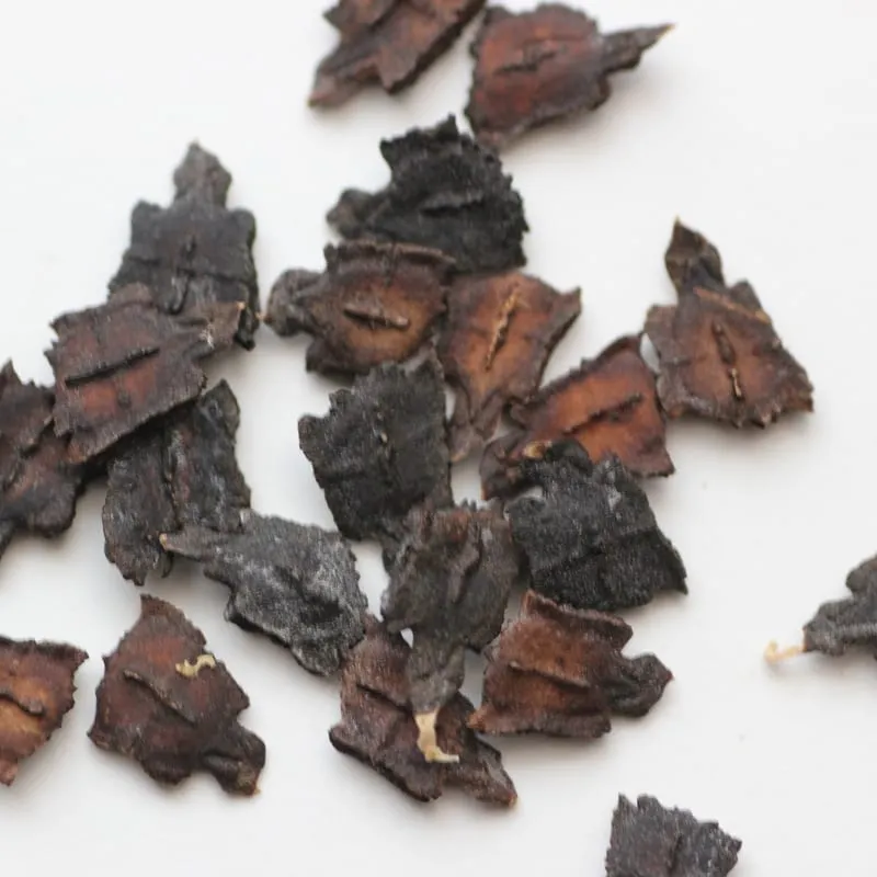 De Tuinen van MergenMetz Olijfkomkommer zaden 10 stuks klimmer