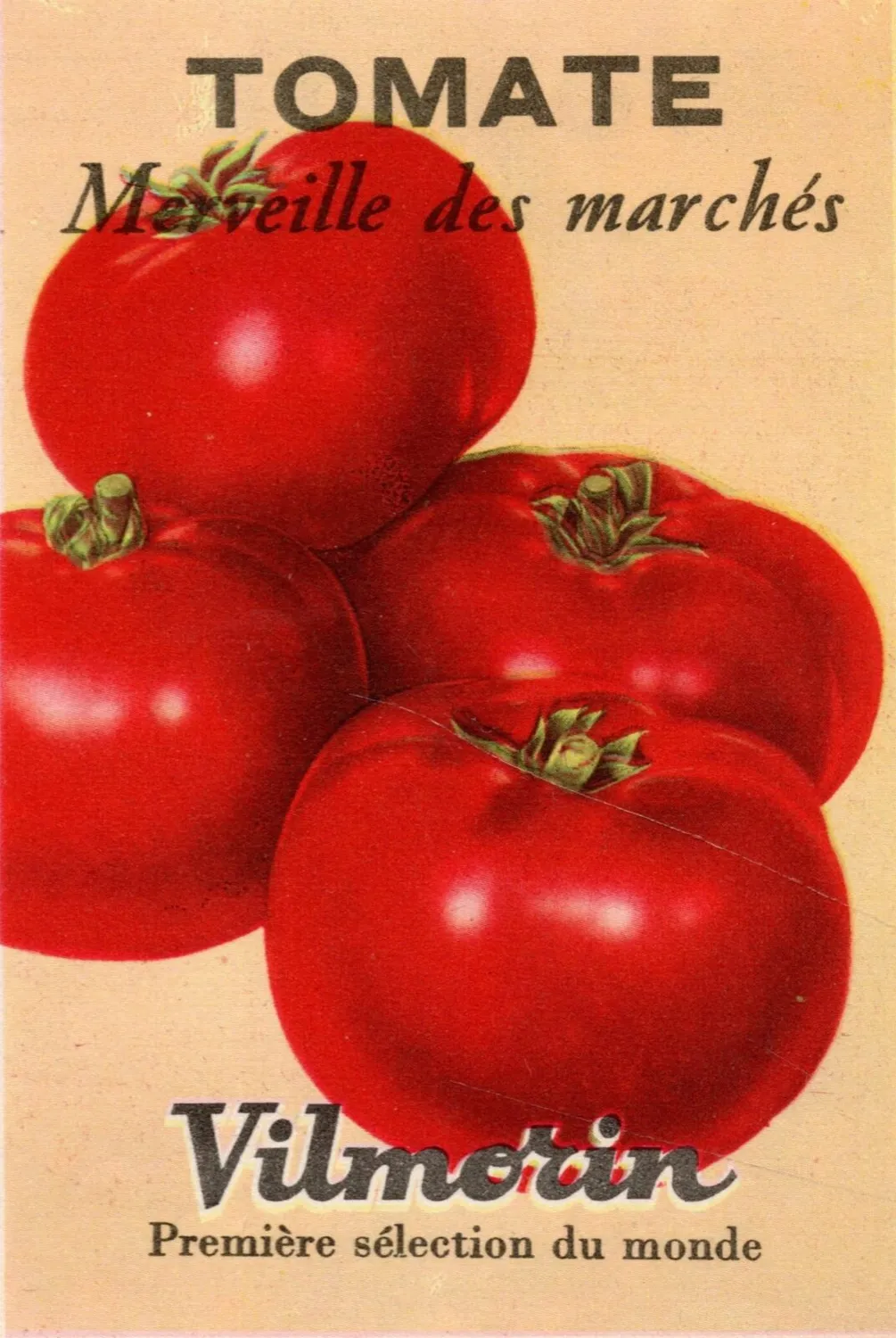 De Tuinen van MergenMetz Wonder van de Markt tomatenzaad 15 zaden productief