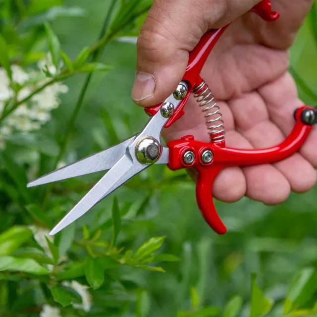 World Botanics Darlac Ergo Snips snoeischaar 170 mm